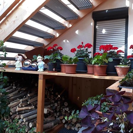 Apartchalet Sisi- Including Saalfelden Leogang Card 外观 照片