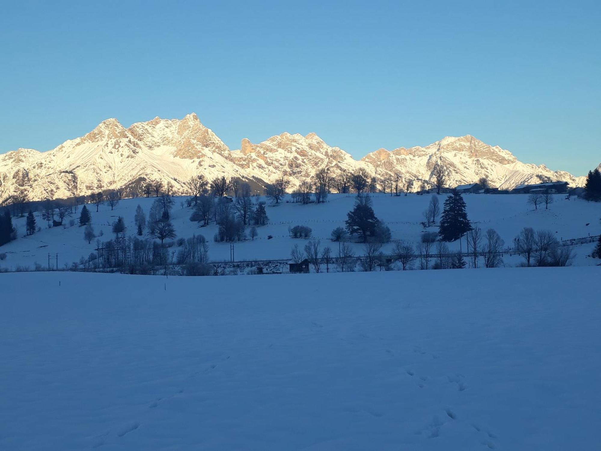 Apartchalet Sisi- Including Saalfelden Leogang Card 外观 照片