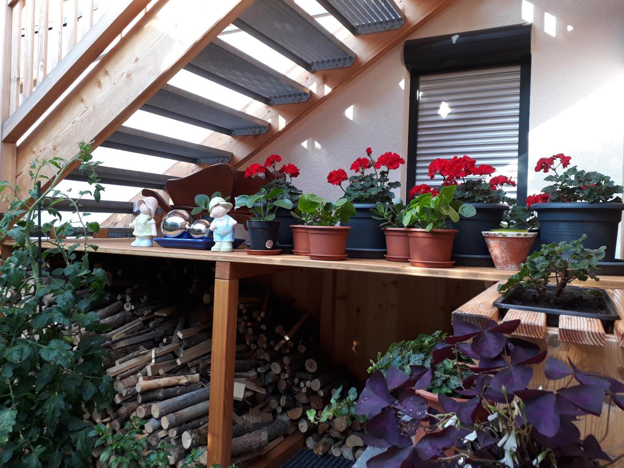 Apartchalet Sisi- Including Saalfelden Leogang Card 外观 照片